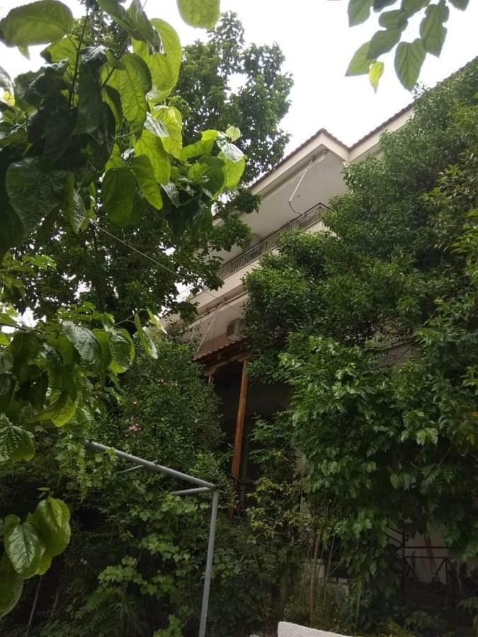 Ntaliani Panagiota Anastasia Loutra Edipsou  Ngoại thất bức ảnh